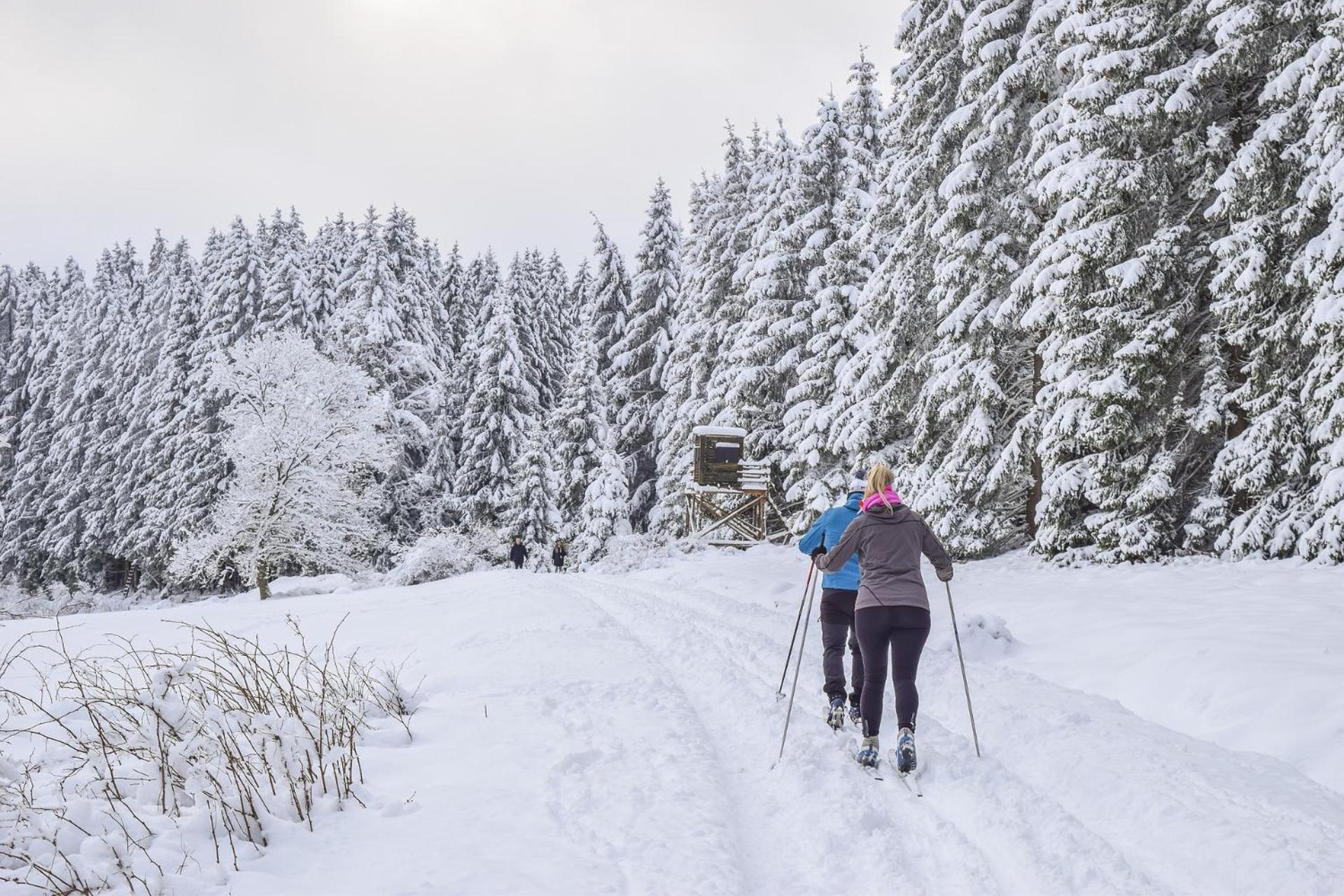 Osrodek Wypoczynkowy Tatrzanska, Zakopane